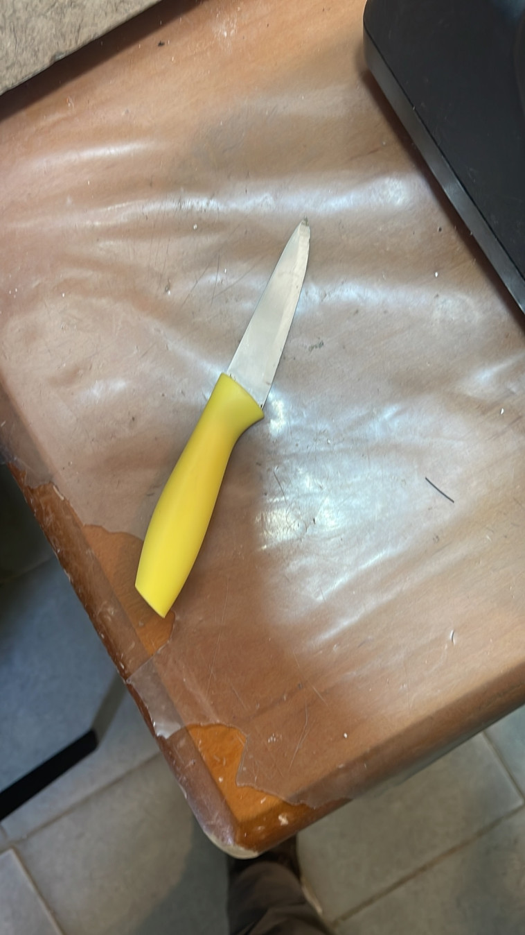 הסכין אותו נשאה הנערה 