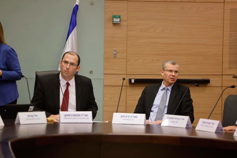 יריב לוין, שמחה רוטמן בוועדת חוקה, חוק ומשפט