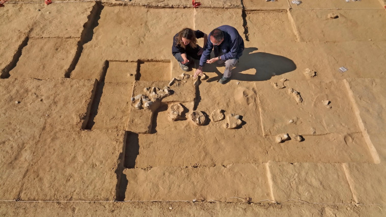 החפירה בחולות ניצנה בנגב (צילום: אמיל אלג'ם, רשות העתיקות)