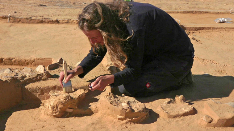 לורן דייויס, מנהלת החפירה מטעם רשות העתיקות (צילום: אמיל אלג'ם, רשות העתיקות)