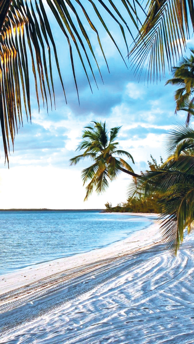 האיים המלדיביים