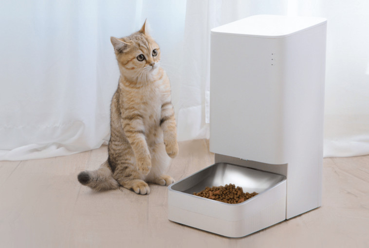 שיואו!! מאיפה האוכל הגיע?! 