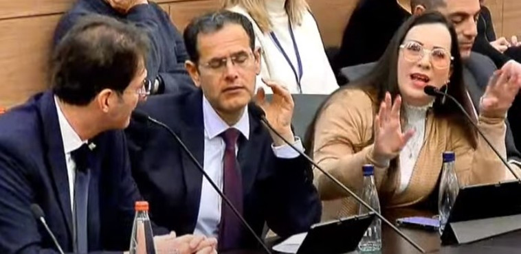 גוטליב בוועדת החוקה