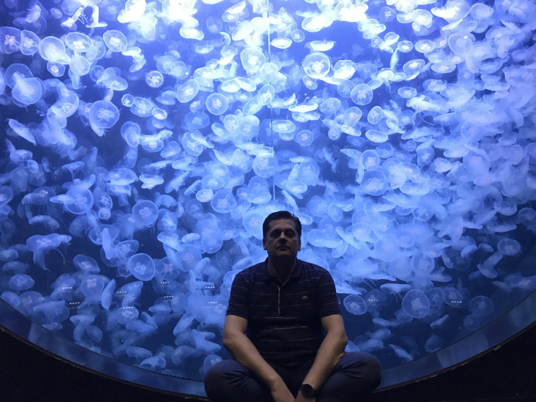 אולכסנדר יאנובסקי והמדוזות 