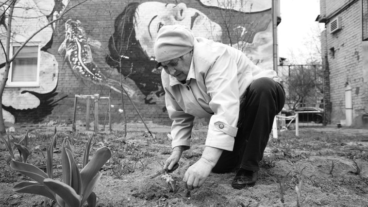 המלחמה באוקראינה, צילום מהתערוכה