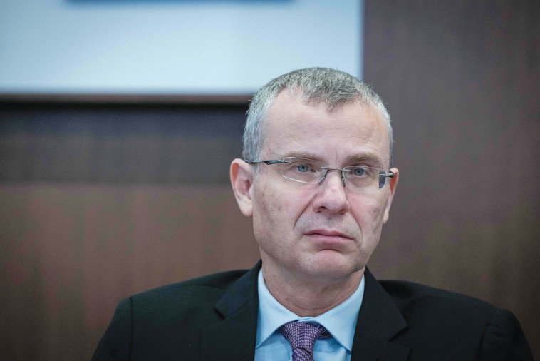 שר המשפטים לוין 