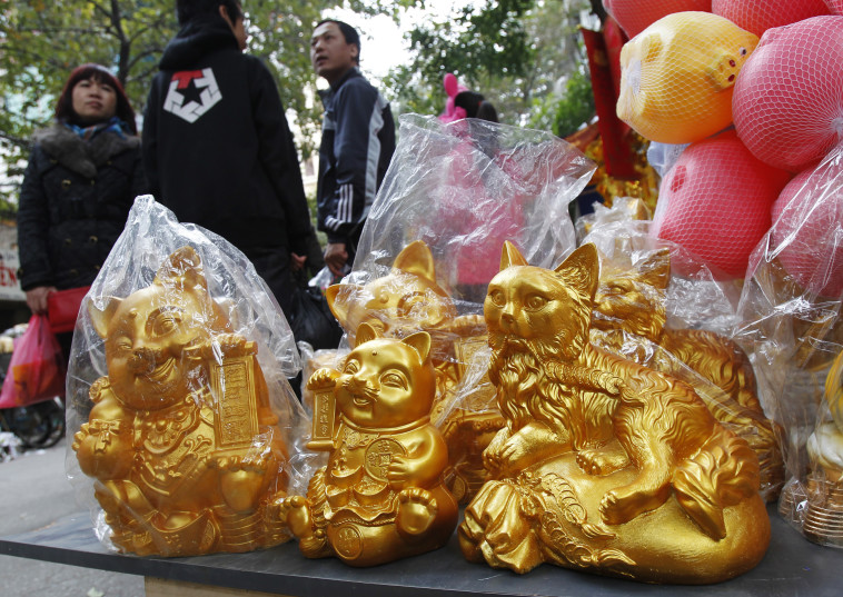 שנת החתול בויאטנם