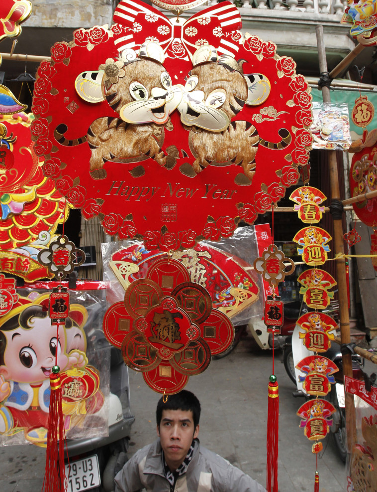 שנת החתול בויאטנם