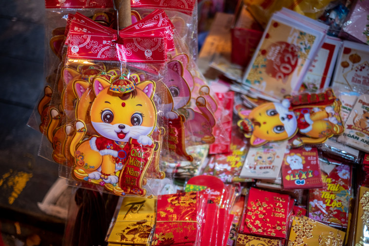 שנת החתול בוויאטנם