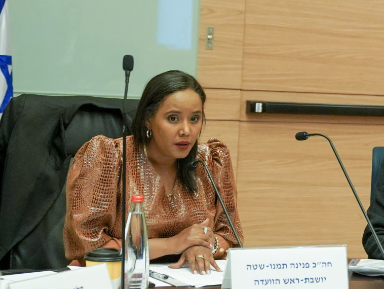 ח''כ פנינה תמנו-שטה בוועדה לקידום מעמד האישה
