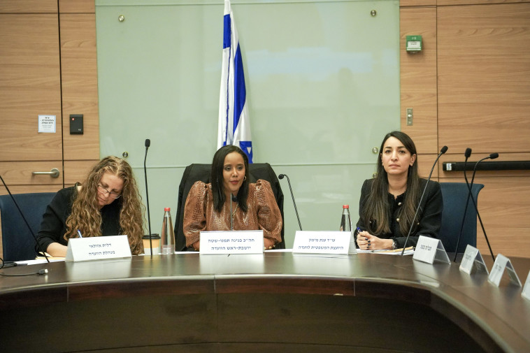 הוועדה לקידום מעמד האישה בכנסת (צילום: דני שם טוב, דוברות הכנסת)