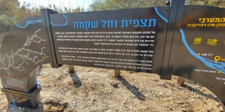 תצפית נחל שקמה