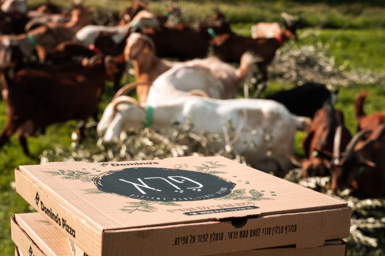 השיקו סדרת פיצות ''פארם טו טייבל''. פיצות פרא של דומינוס