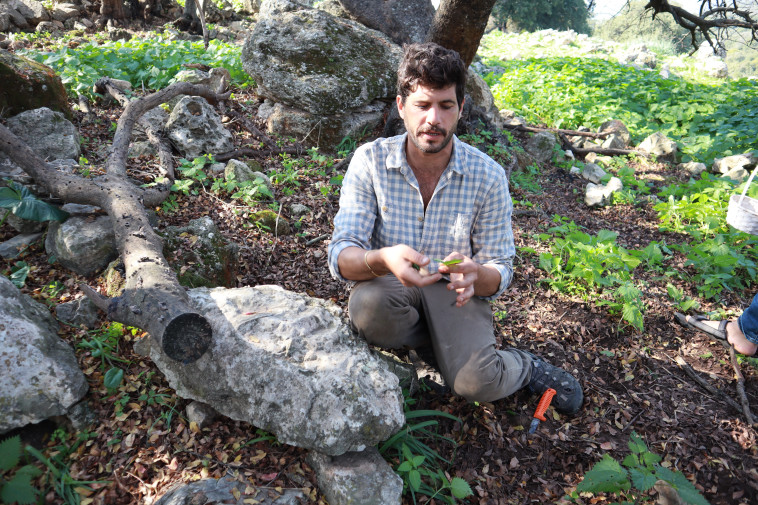 מלקטים. הלל גרדי בהשקת פיצות פרא