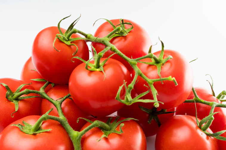 עגבניות (צילום: אינגאימג')