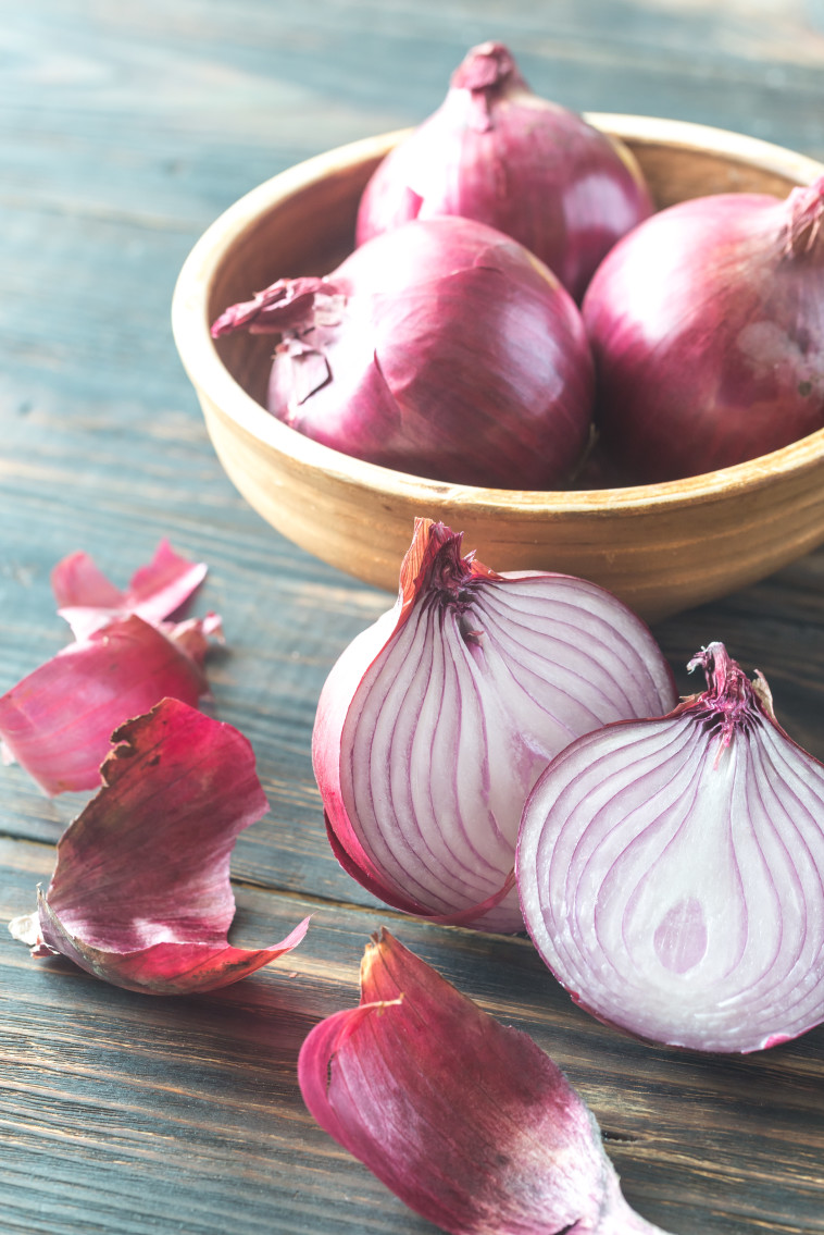 onion, illustration (photo: Inimage)
