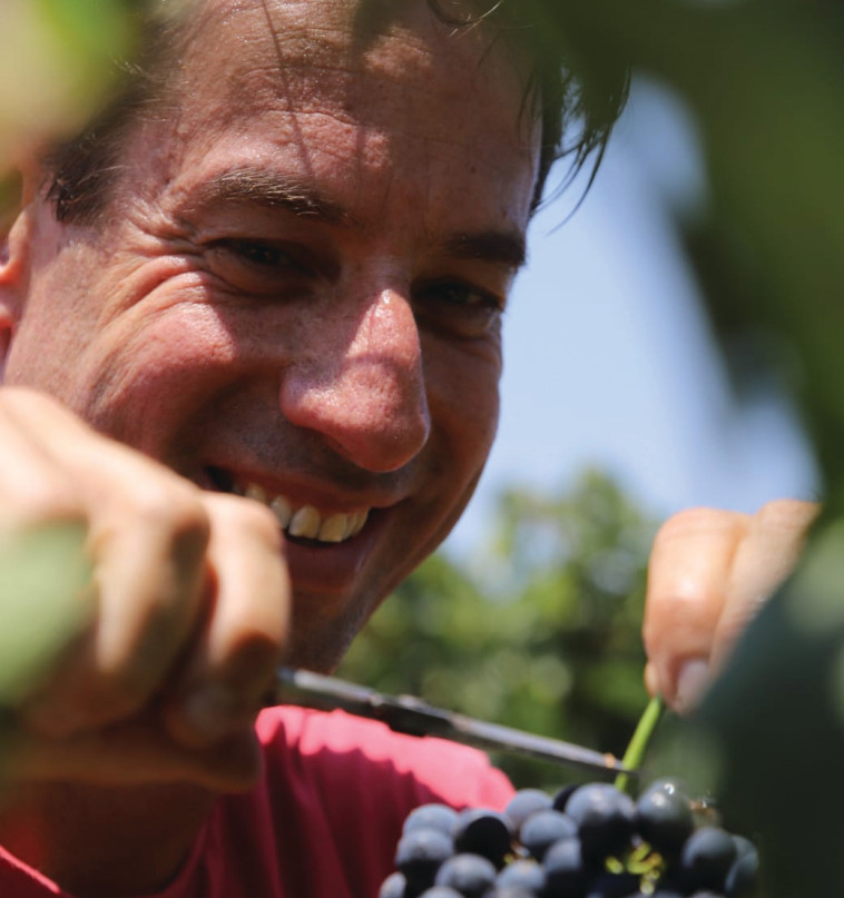 יניב ורדי ביקב