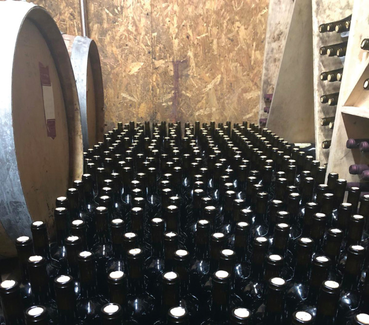 יקב וורבורג