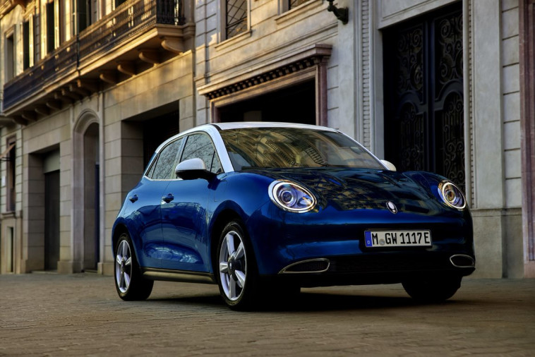 אורה פאנקי קאט