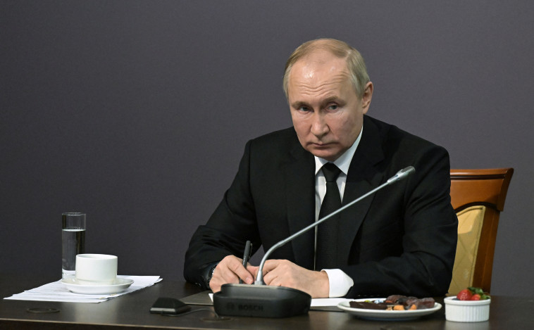 נשיא רוסיה, ולדימיר פוטין (צילום:  Sputnik/Ilya Pitalyov/Pool )