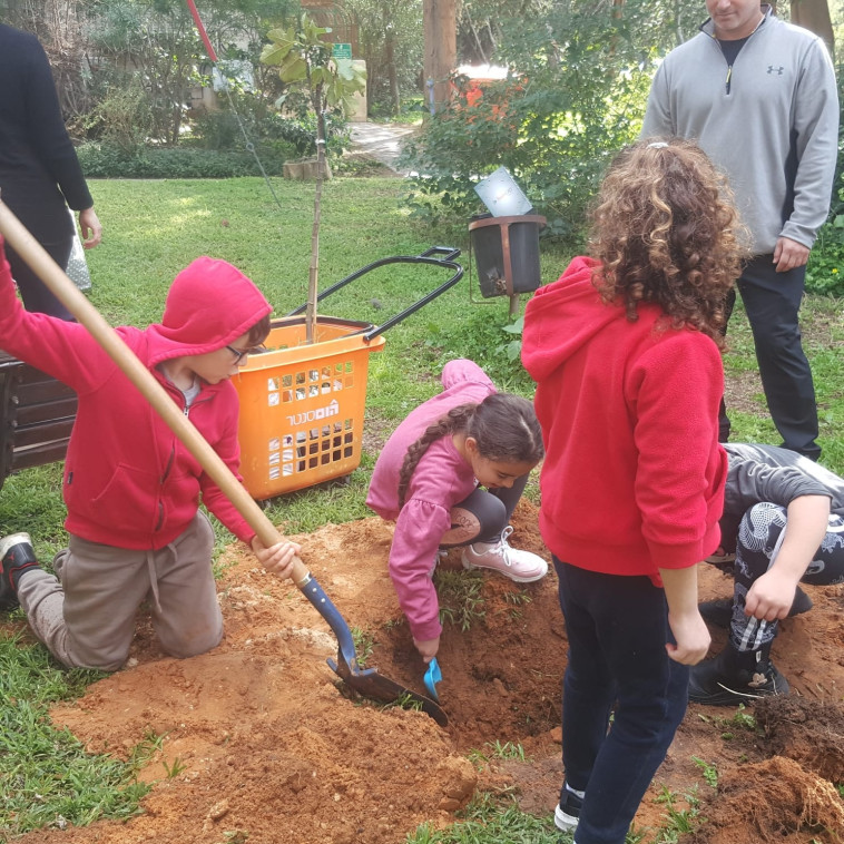 ט''ו בשבט בתל אביב. שתילות במעוז אביב 