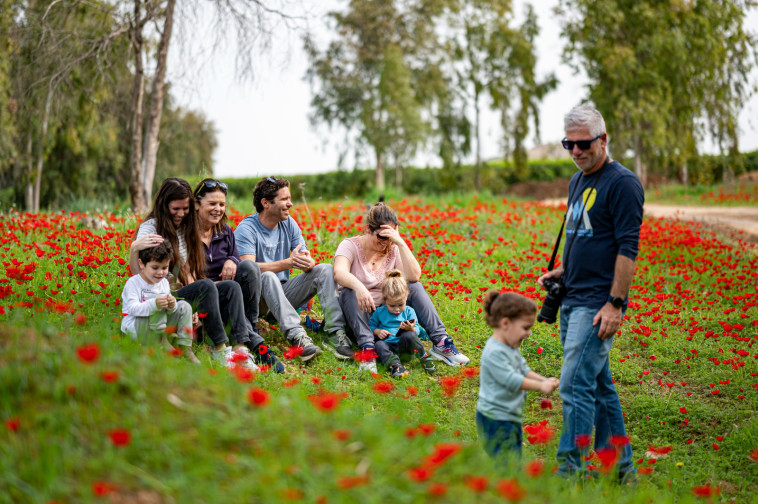 פסטיבל דרום אדום
