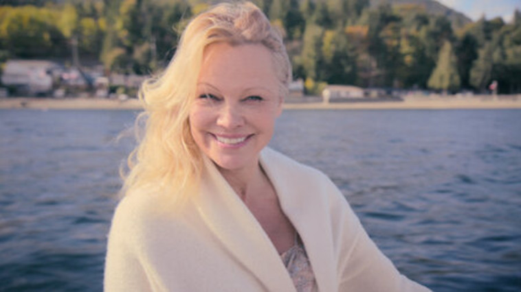 פמלה סיפור אהבה