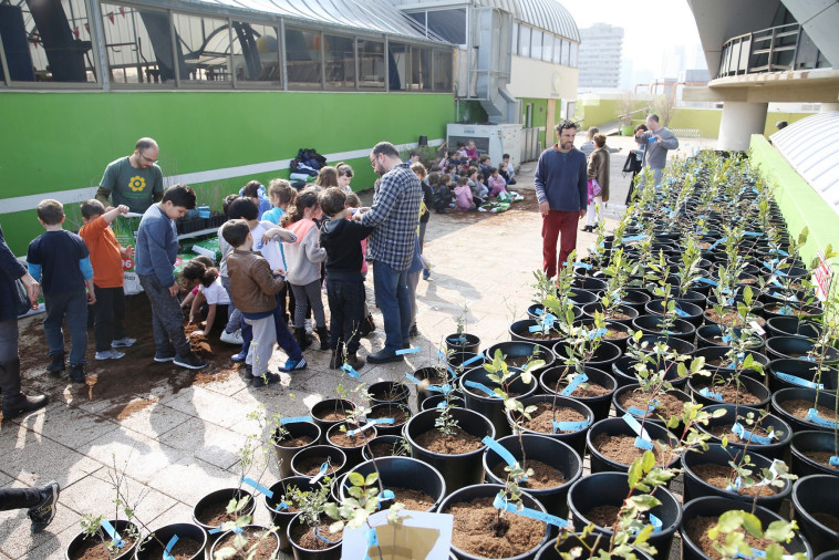 פרויקט עץ אחד בדיזנגוף סנטר