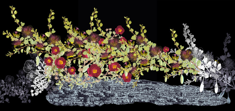 צמחי הבר של ירושלים בלילה, עם עמוס עוז