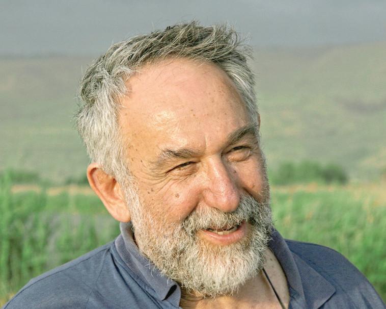 עמוס אריאלי