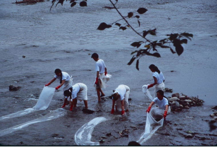 יצירתה של שחר קרמר