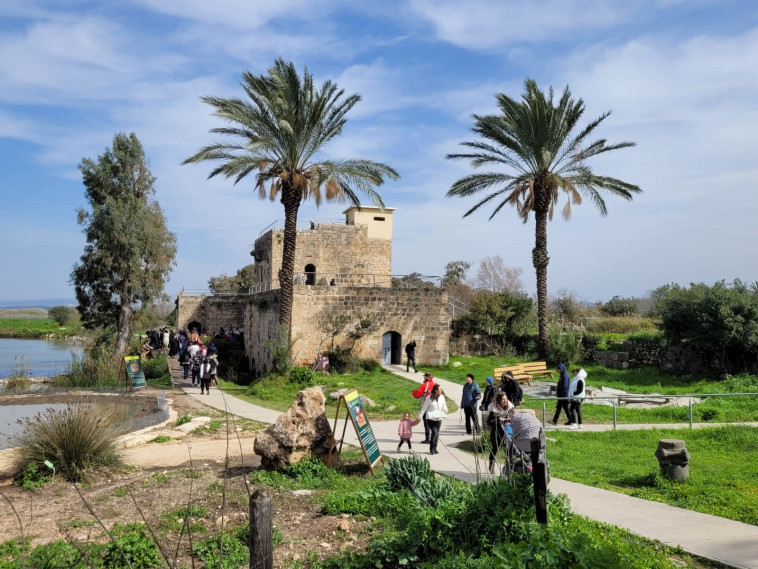 שמורת הטבע עין אפק