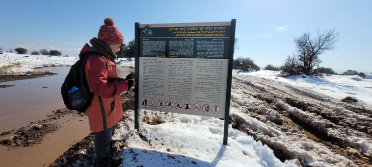 מטיילים בשמורת טבע יער מסעדה