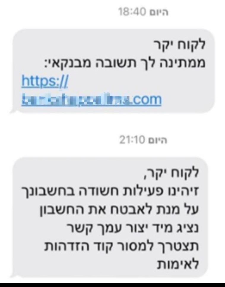 דוגמה להודעת הפישינג