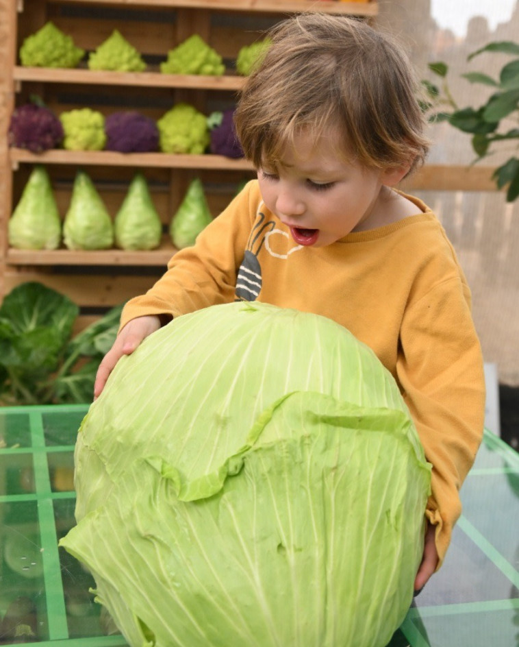 התערוכה החקלאית הגדולה בישראל