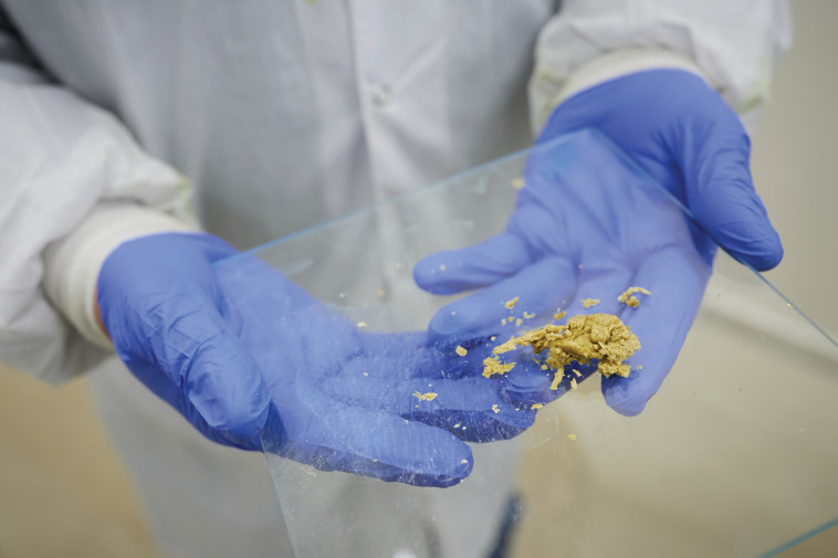  קו־לאב סקוור