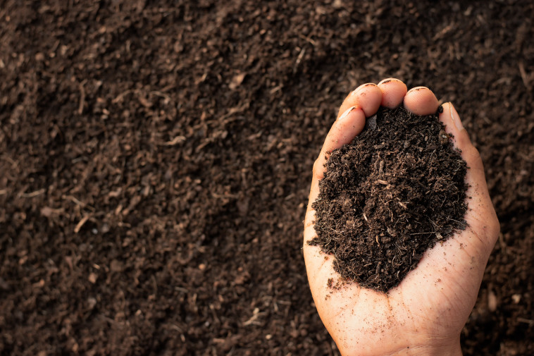 גוף האדם יהפוך לדשן שישמש לשתילים