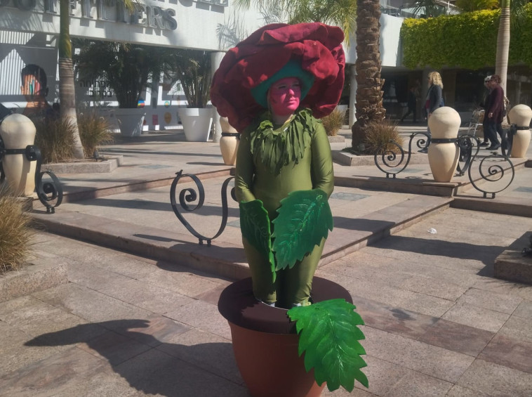 תיאטרון רחוב באילת