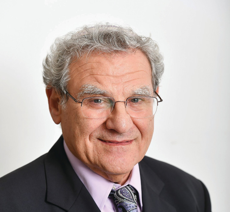 פרופ' אפרים ענבר