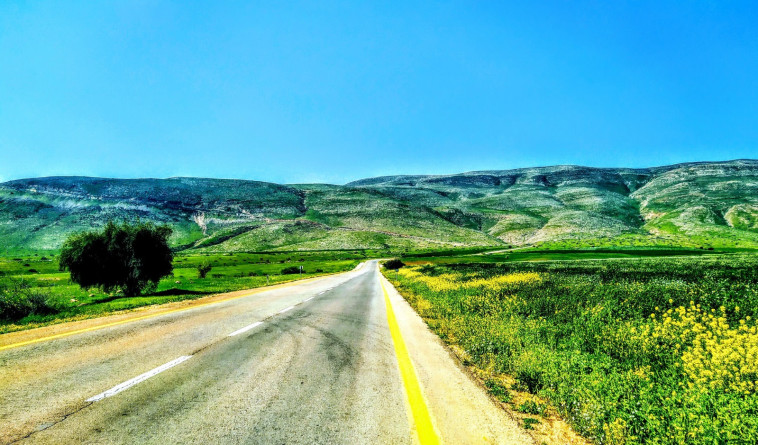 פסטיבל המדבר הירוק