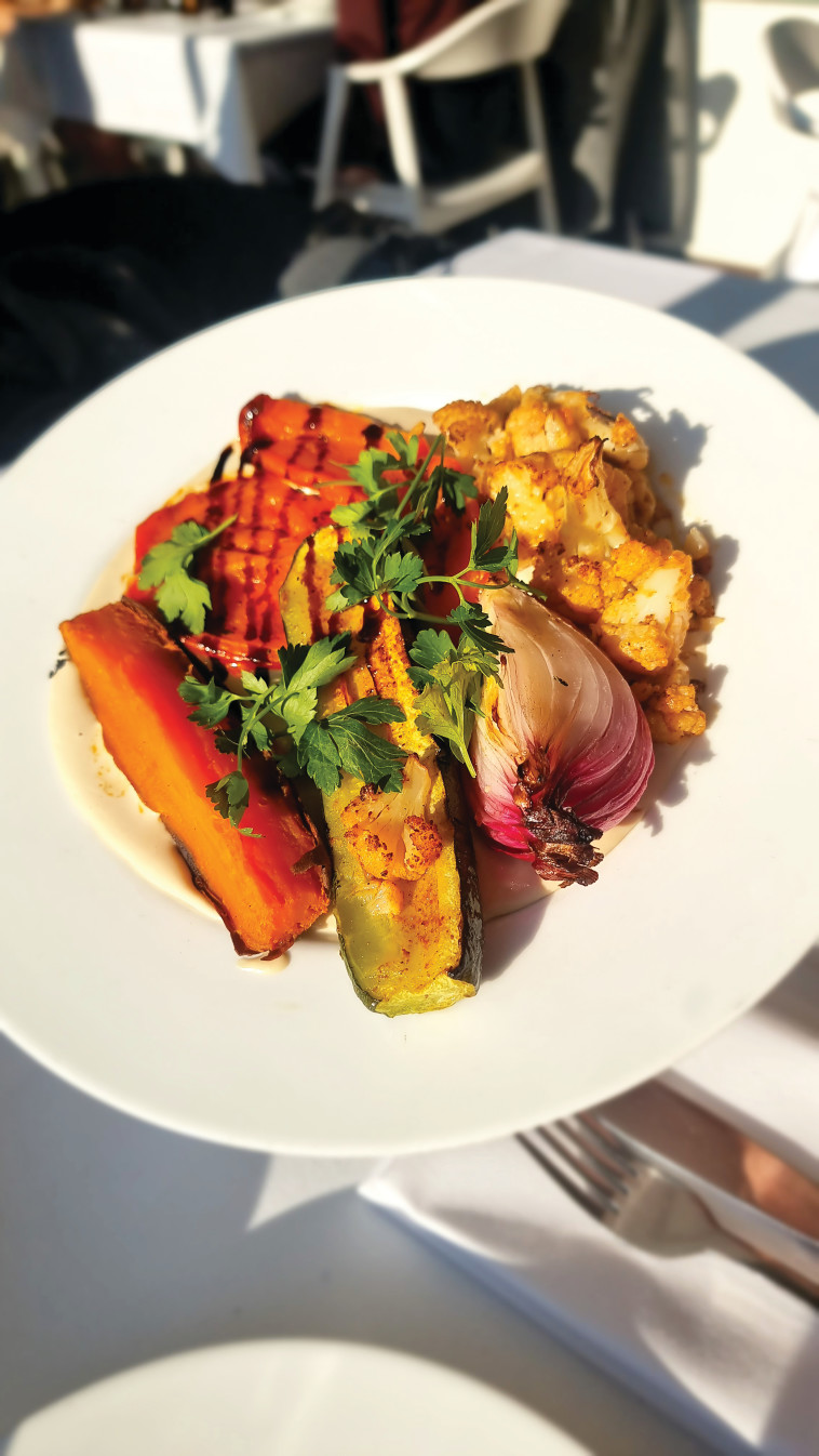 סיטארה אנטיפסטי דג 