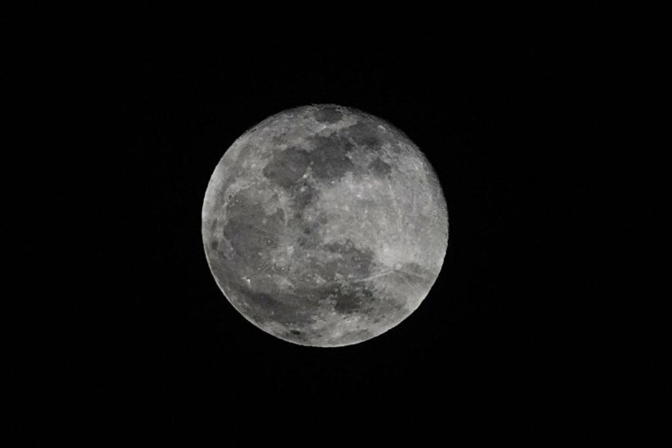 חיכו ללילות של ירח מלא