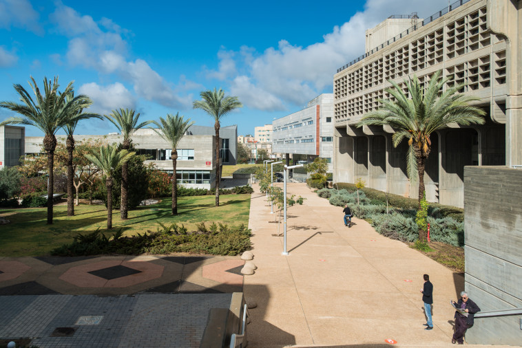 אוניברסיטת בן גוריון (צילום: דני מכליס)