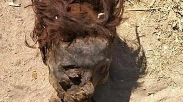 התברר כמעשה ידי אדם, הראש שאותר