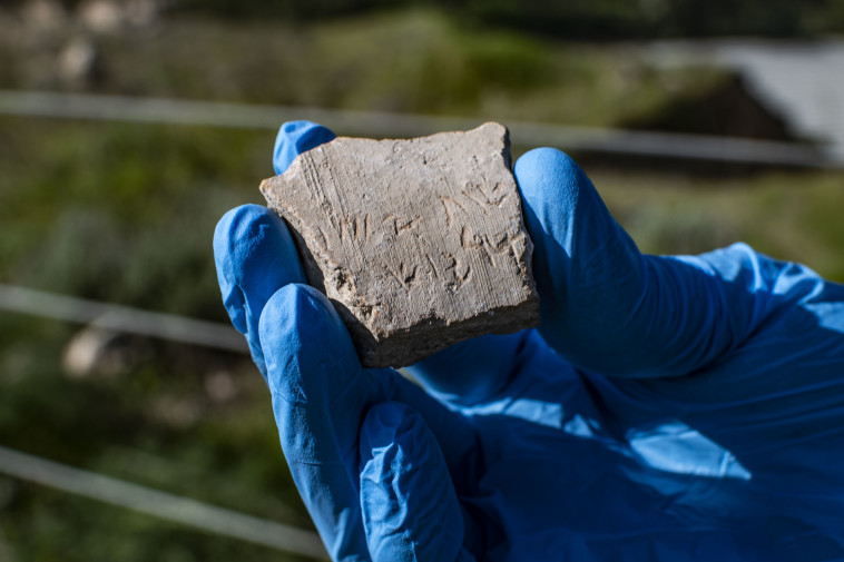 כתובת דריווש