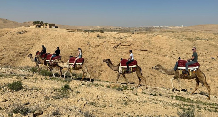 חניון לילה ממשית (צילום: לימור קטן פרידמן רשות הטבע והגנים)