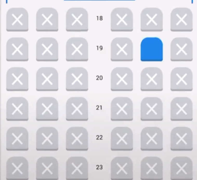 בחירת מושבים במטוס (צילום: מתוך טיקטוק)