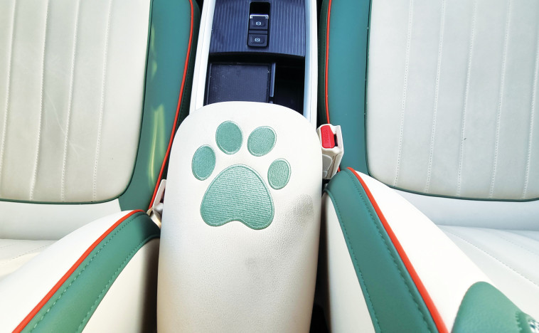 אורה פאנקי קאט פרו 300