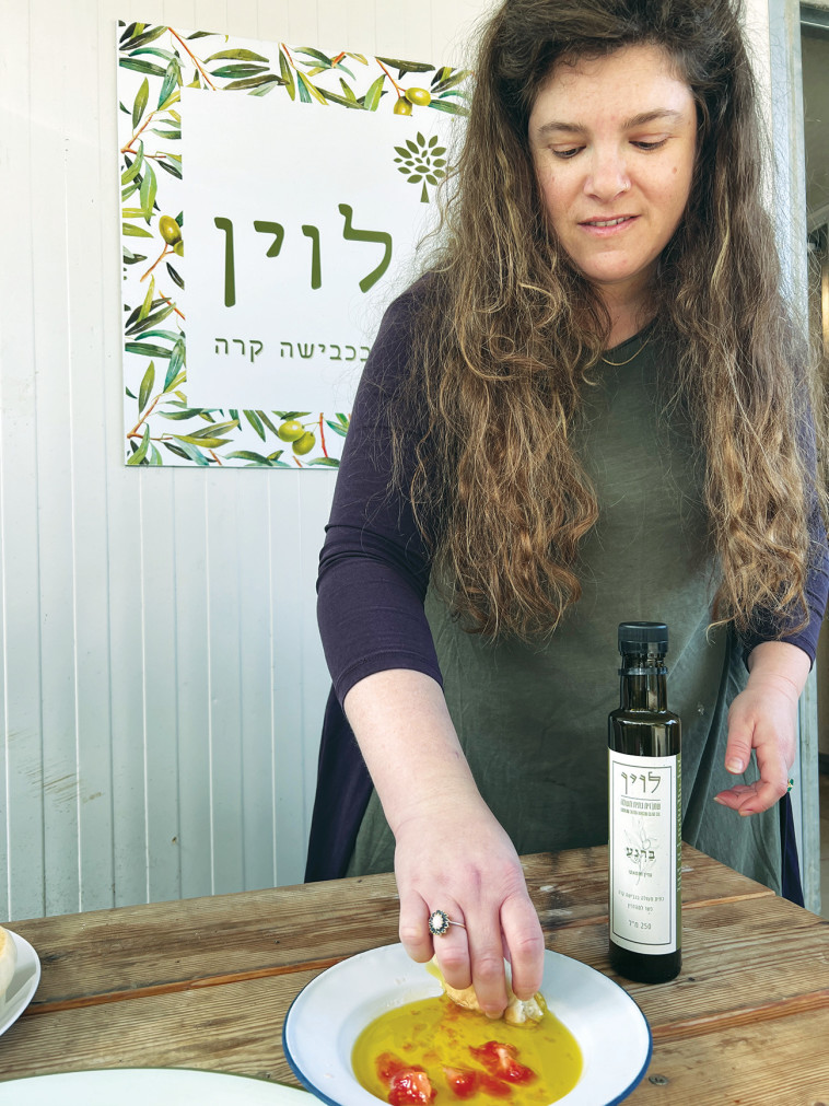 טעימות שמן זית במשק לוין