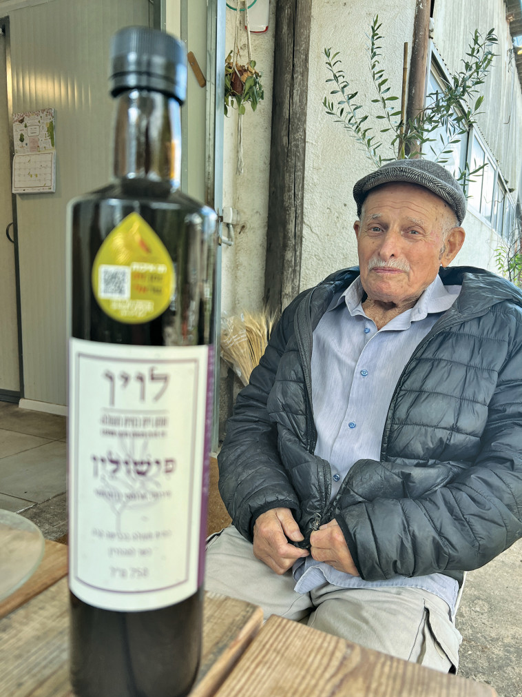 שמוליק לוין, משק לוין